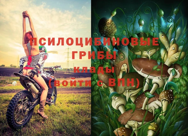 кристаллы Коряжма