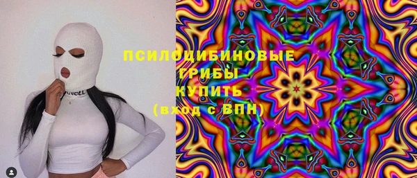 соль ск Костерёво