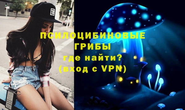 соль курить ск Козловка