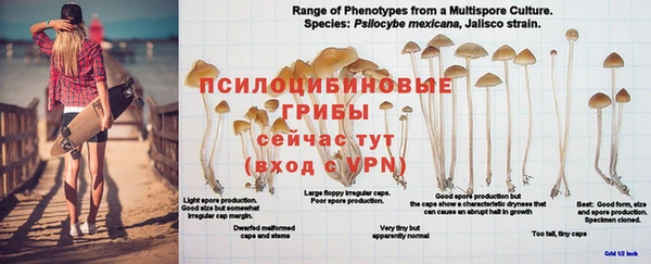 кристаллы Коряжма
