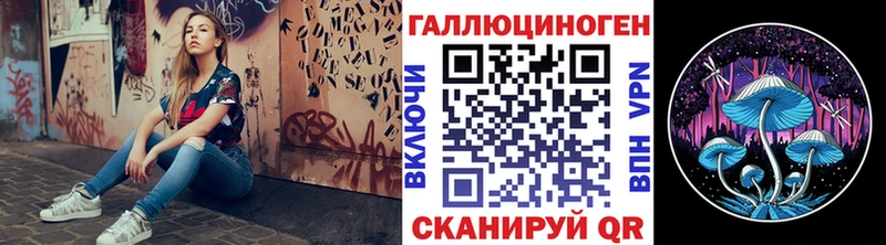 Псилоцибиновые грибы Psilocybe  Невинномысск 