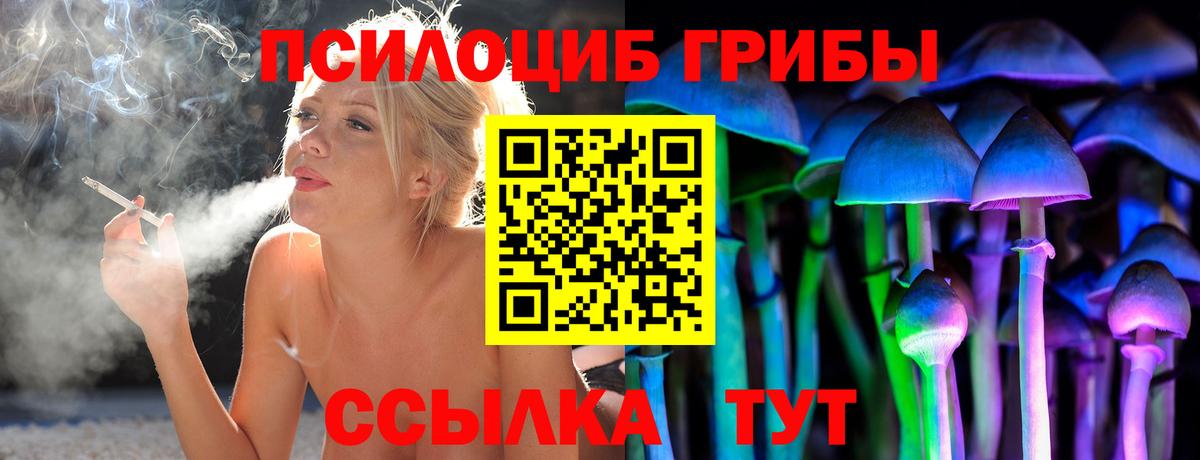 Галлюциногенные грибы Psilocybine cubensis Невинномысск