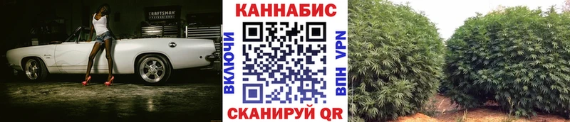 Шишки марихуана AK-47  МЕГА как зайти  Невинномысск 